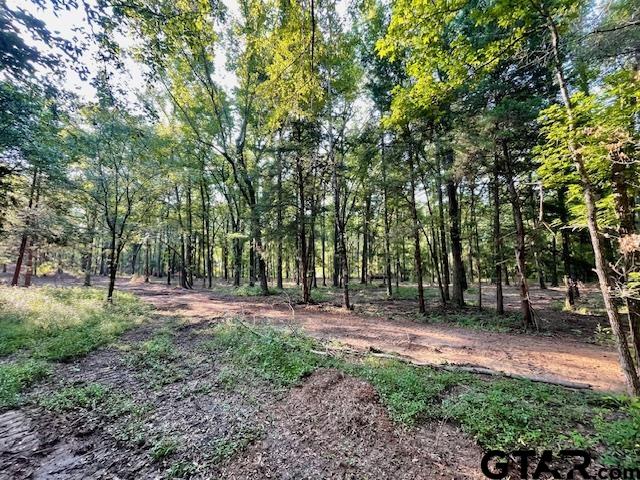 13050 Timber Creek Dr