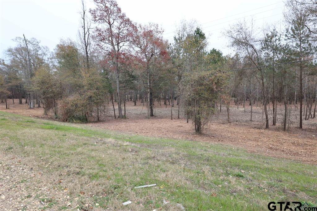 10 ACRES HWY 43 / HUBBARD DR