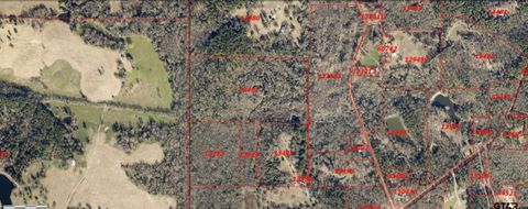 TBD County Road 4510 Winnsboro TX 75494