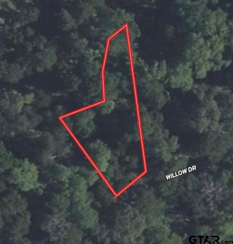 Lot 118 Willow Dr Wills Point TX 75169