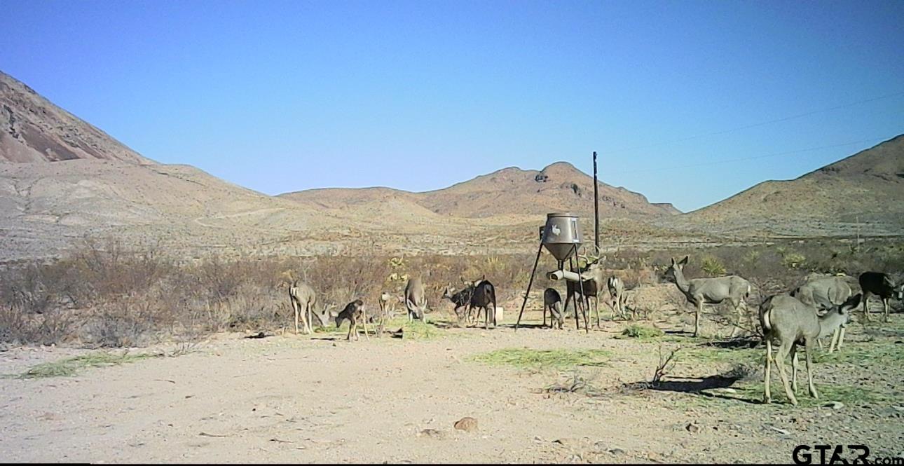 27236 Lake Ament Christmas Wells Tank Tract