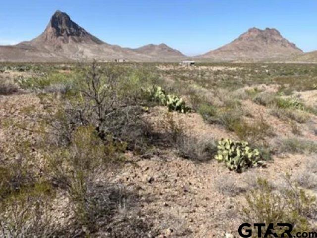 27236 Lake Ament Christmas Wells Tank Tract