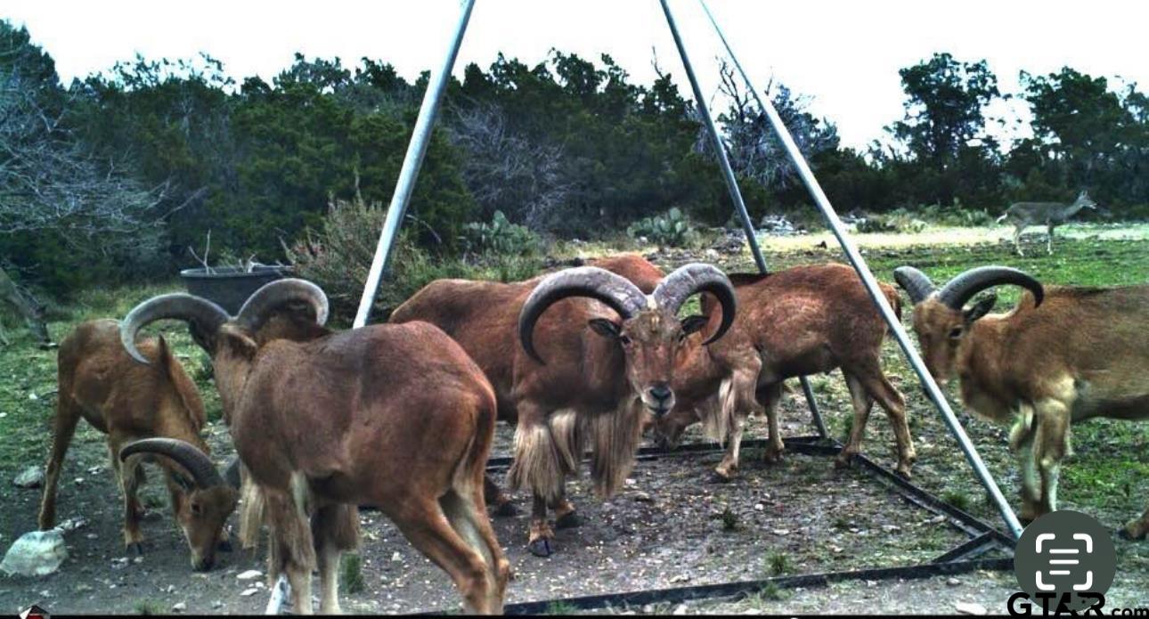 27236 Lake Ament Christmas Wells Tank Tract