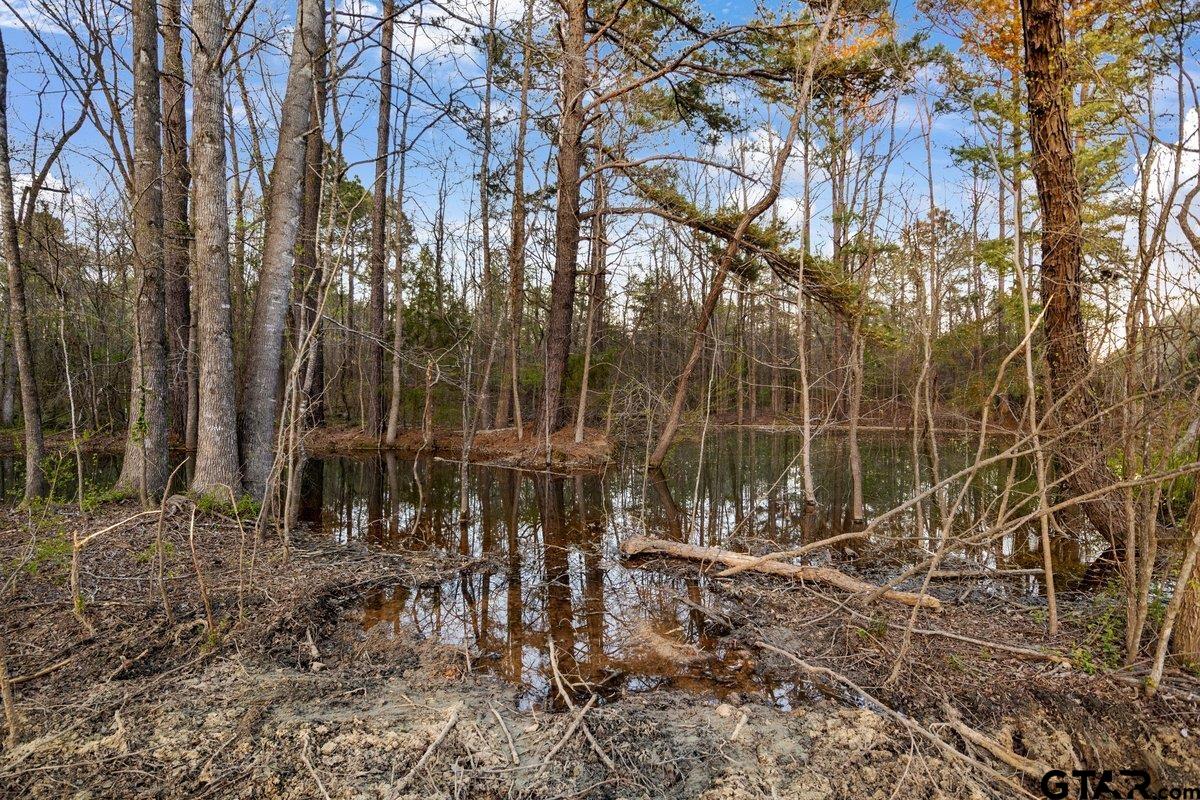 19353 County Road 2153 Lot 1