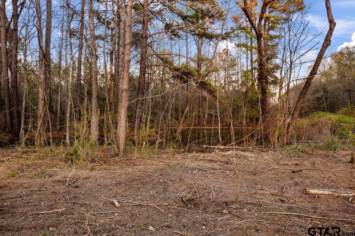 19353 County Road 2153 Lot 1