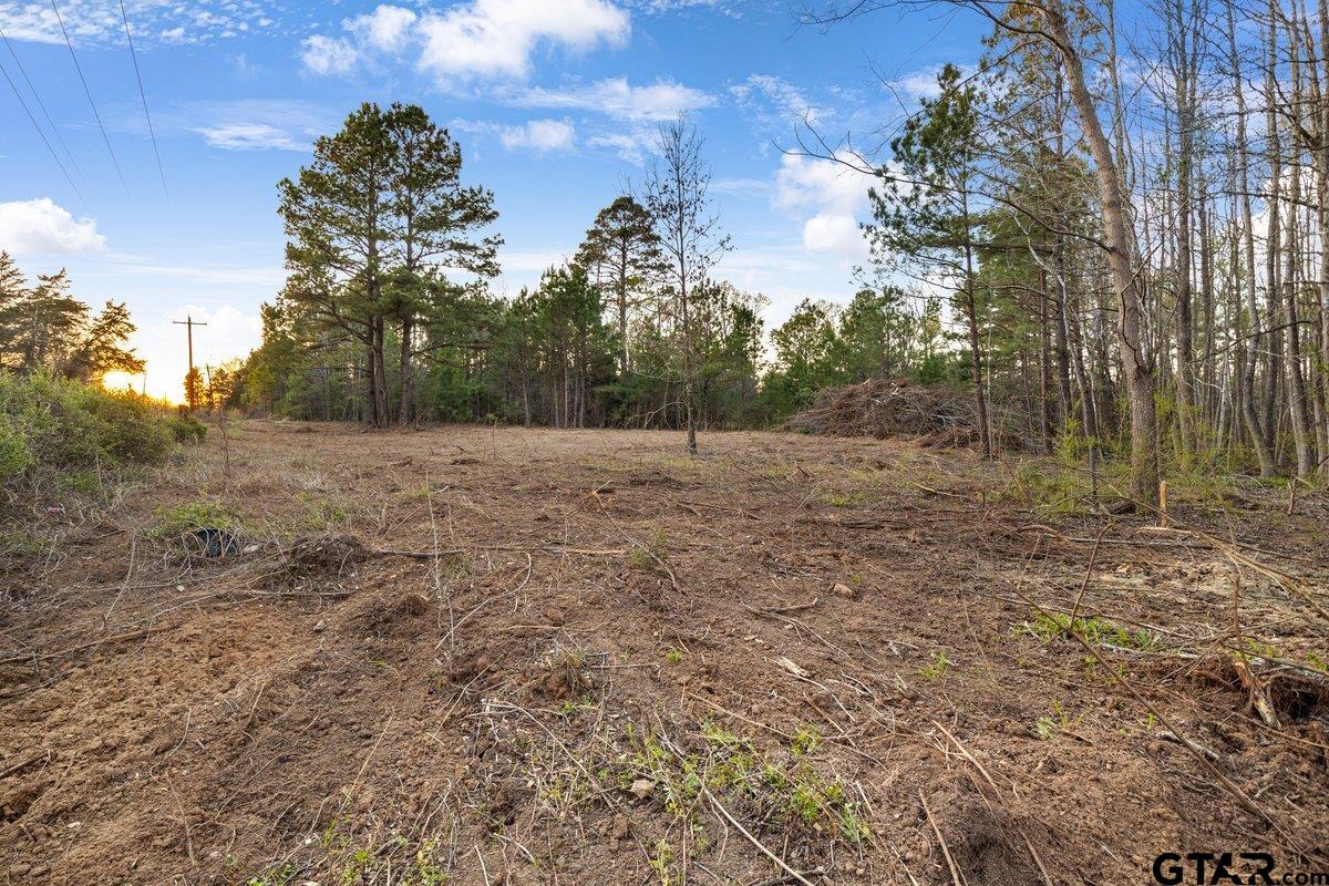 19353 County Road 2153 Lot 1