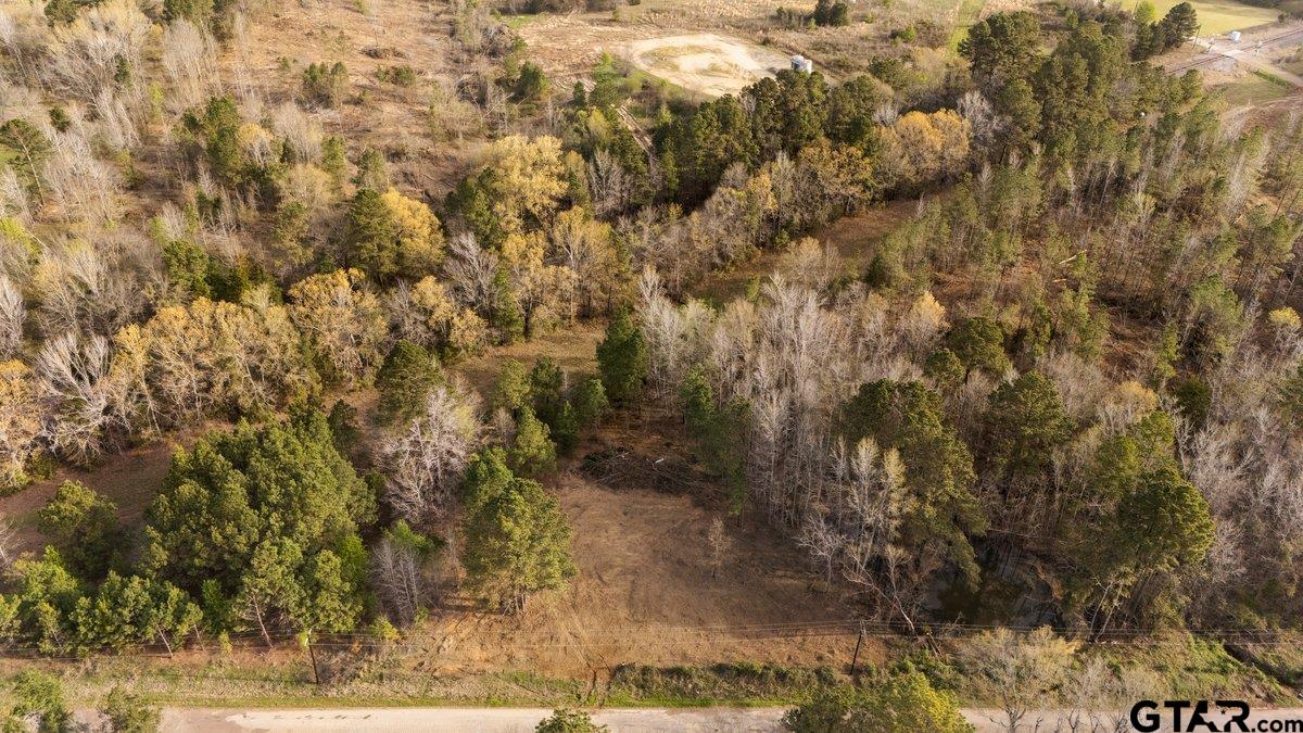 Troup, Texas 75789, United States, ,Land,Active,94095