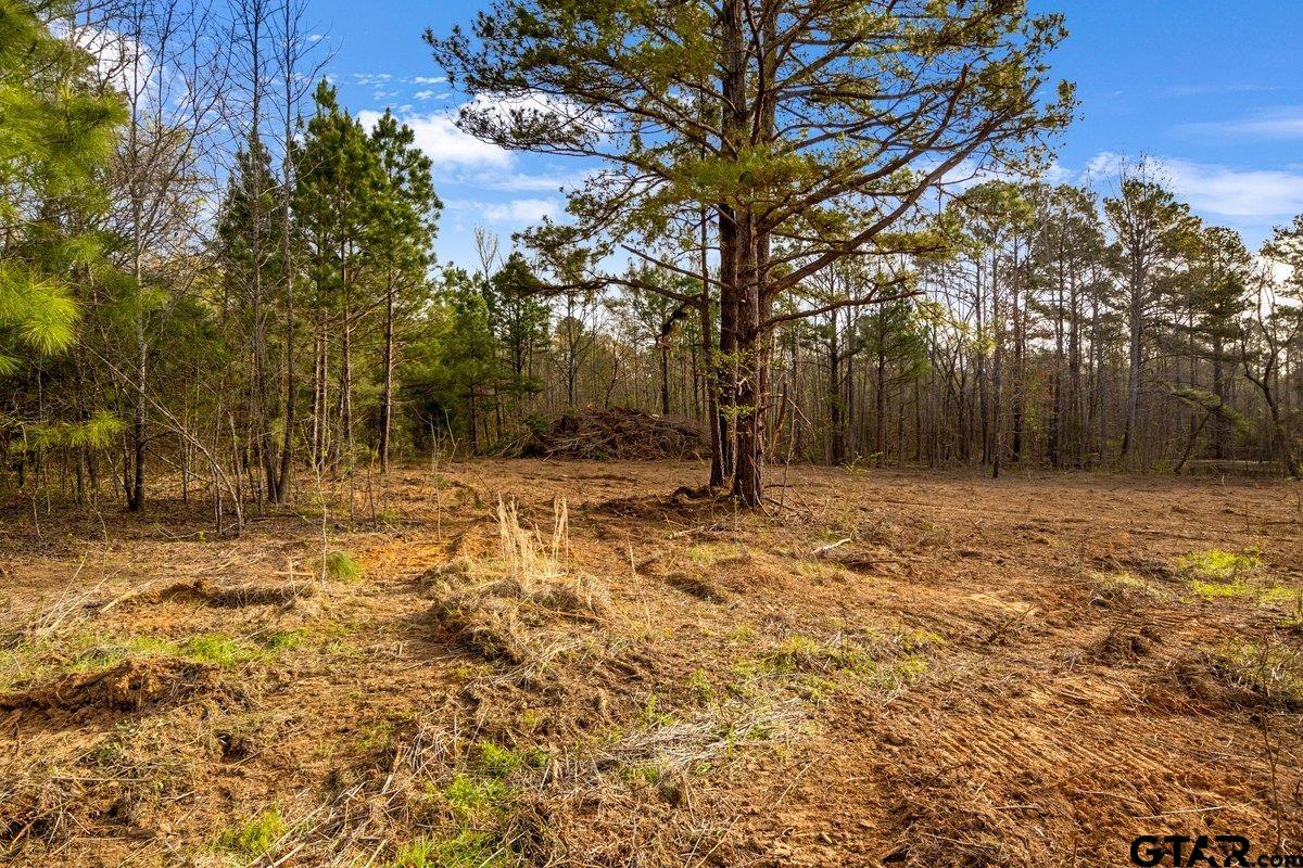 19353 County Road 2153 Lot 1