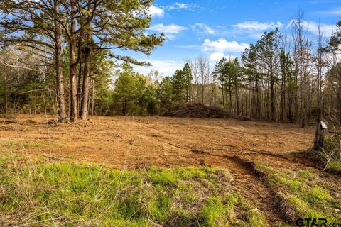 19353 County Road 2153 Lot 1 Troup TX 75789