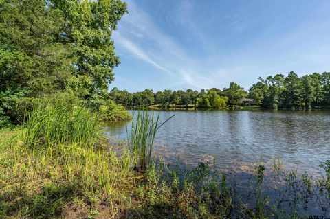 13165 Vicki Lynn Ln Troup TX 75789