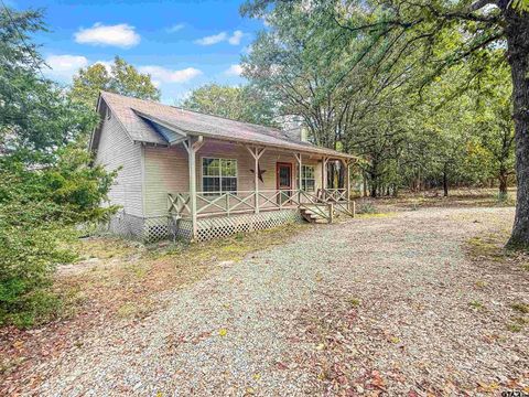 207 Pagosa Lane Holly Lake Ranch TX 75765