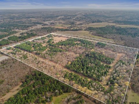 19955 CR 4118 Lindale TX 75771