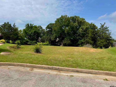 212 Shanna Terrace Lindale TX 75771