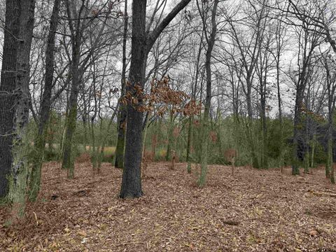 TBD Florence St. Lot 7 Grand Saline TX 75140