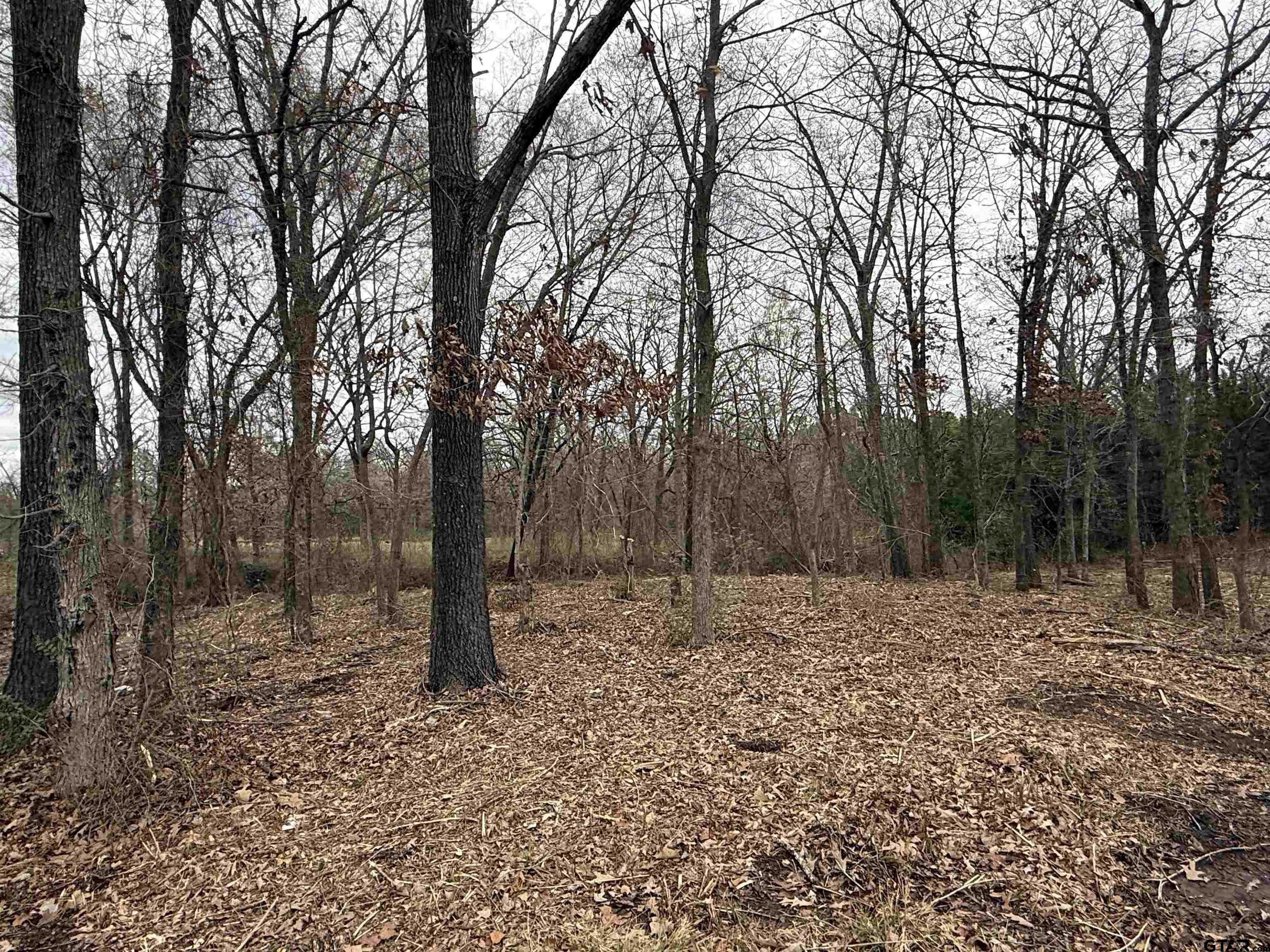 TBD Florence St. Lot 7