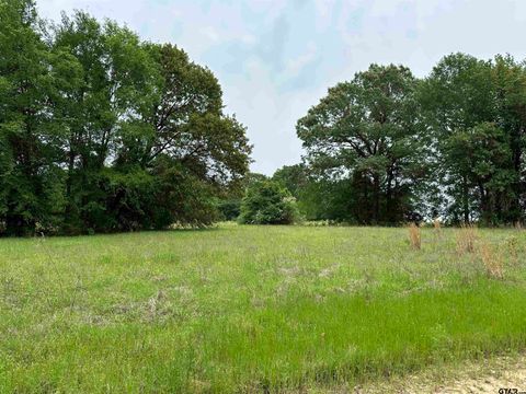 21478 CR 294 Arp TX 75750