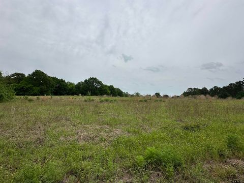 21478 CR 294 Arp TX 75750