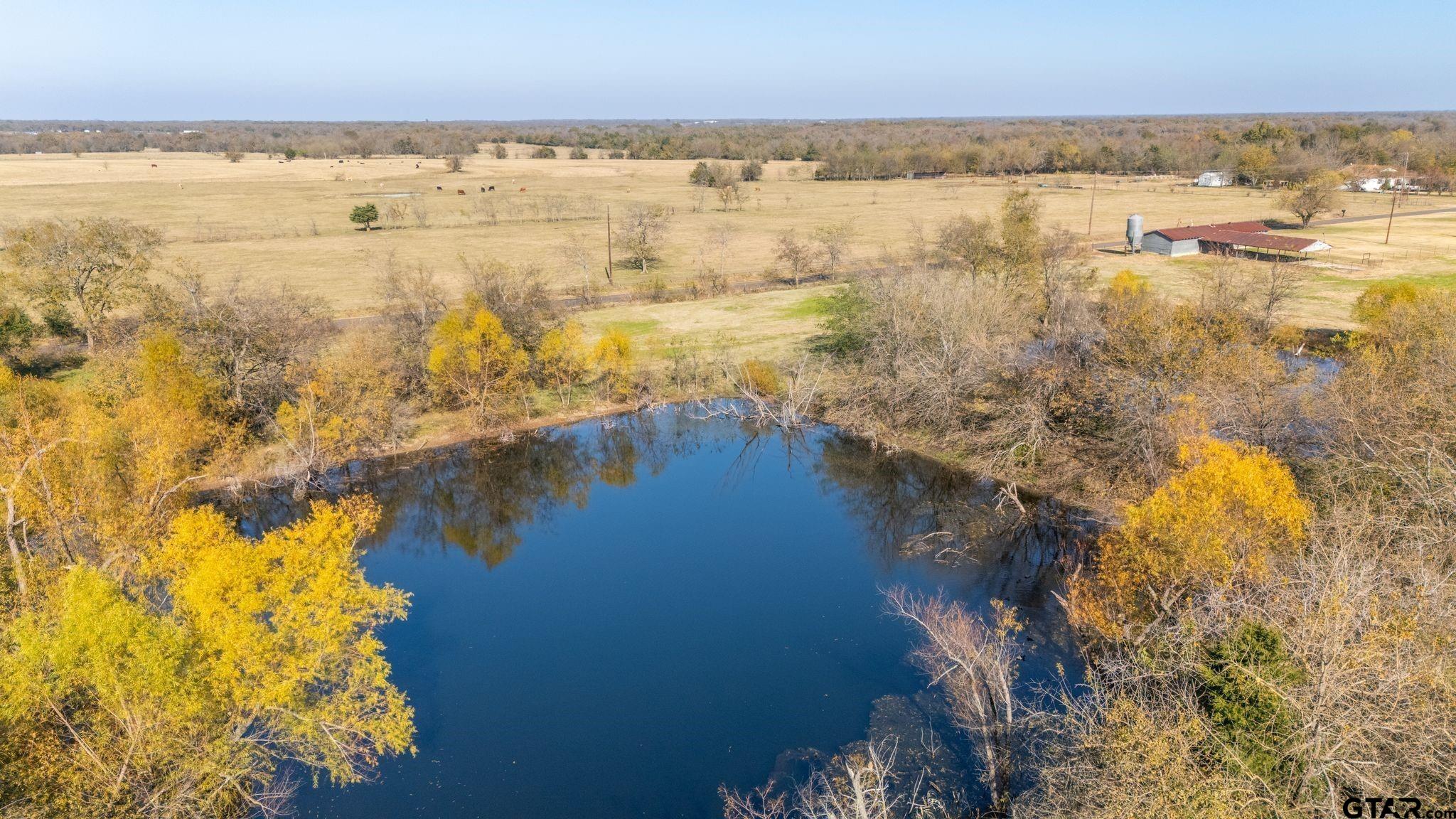 1310 County Road 3566