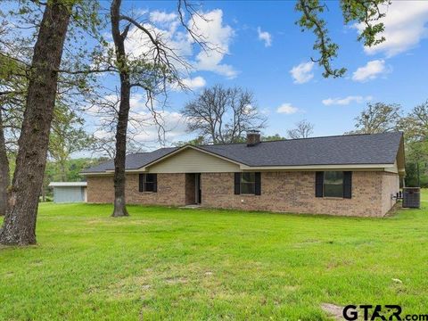 325 An County Road 4271 Palestine TX 75803