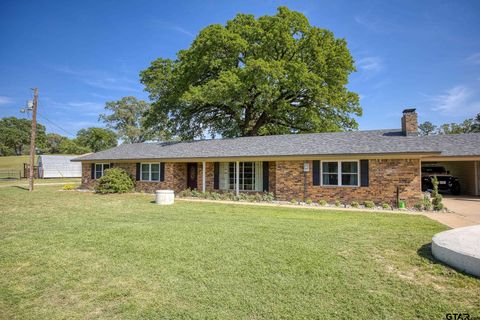 3662 ACR 359 Palestine TX 75803