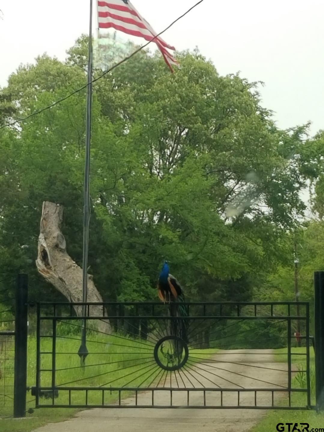 10774 County Road 494 (multiple addresses)