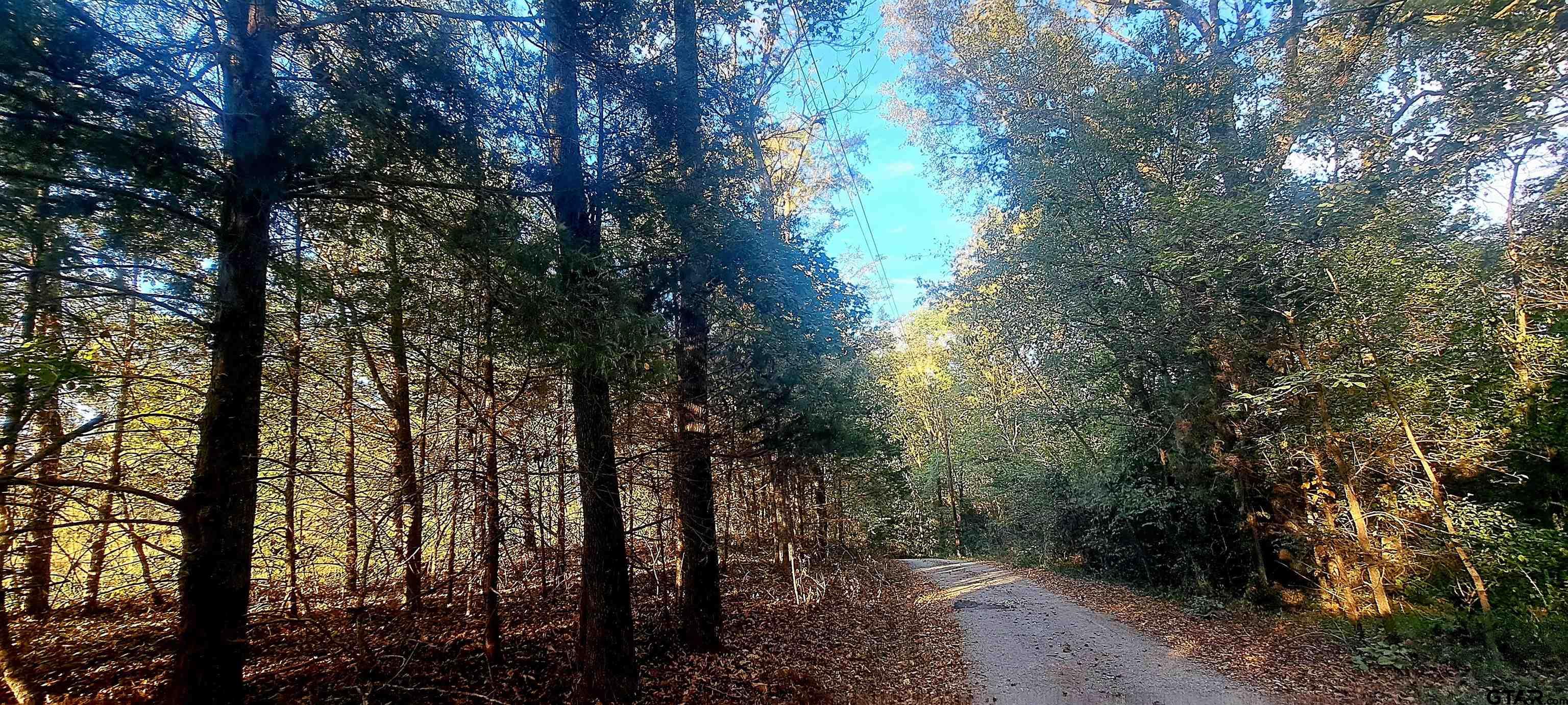 10774 County Road 494 (multiple addresses)