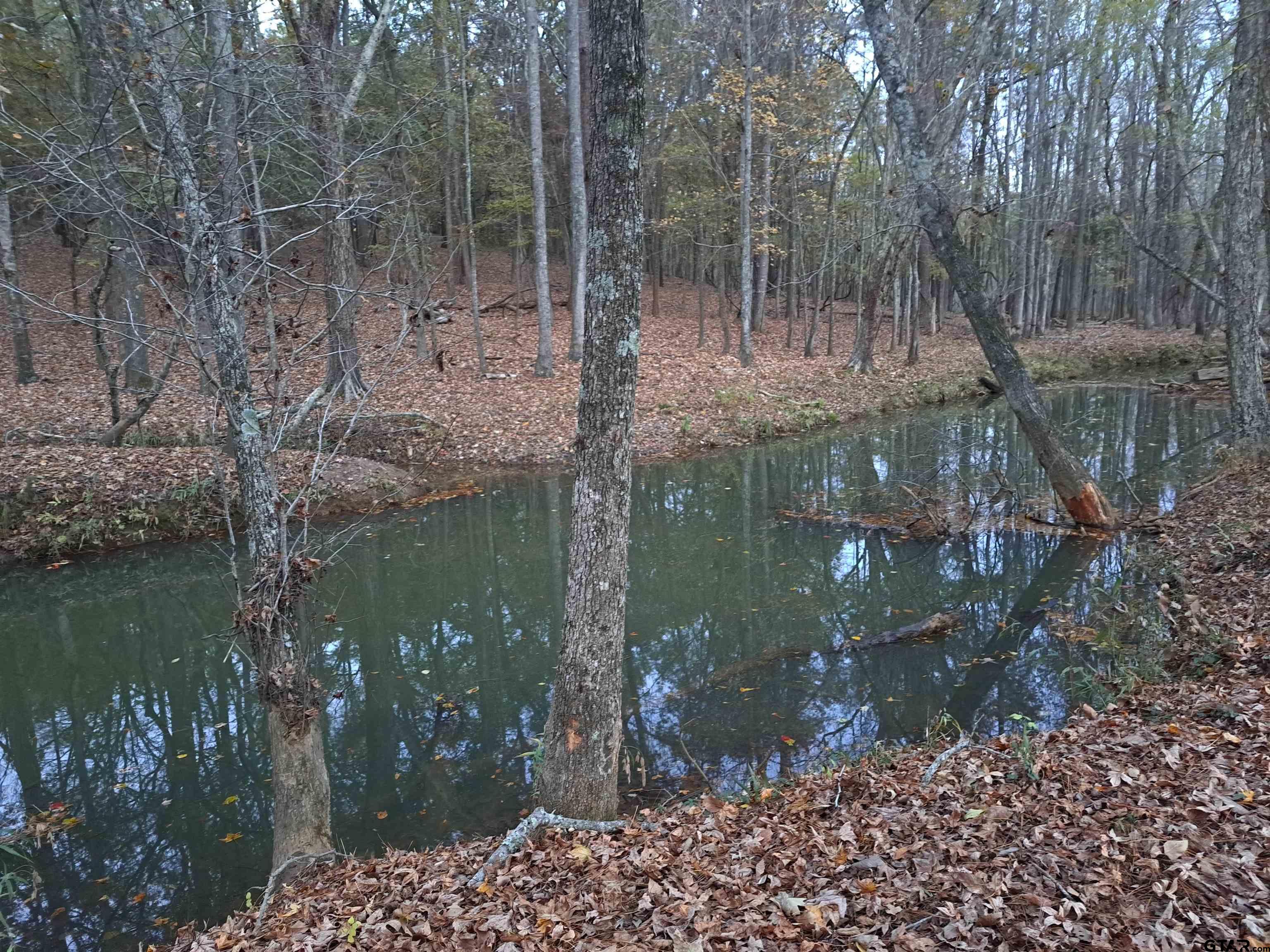 10774 County Road 494 (multiple addresses)