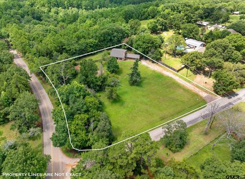 10816 Mountain View Place Whitehouse TX 75791