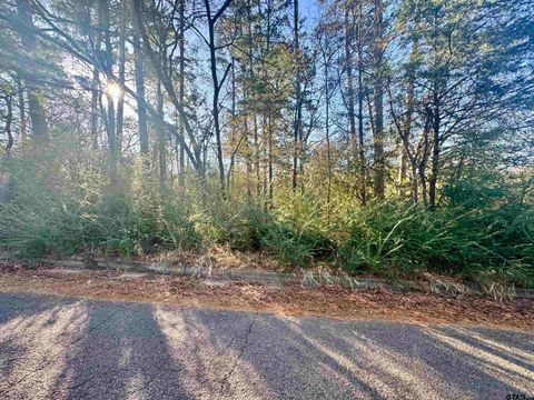 5785 Ramblewood Ln Whitehouse TX 75791