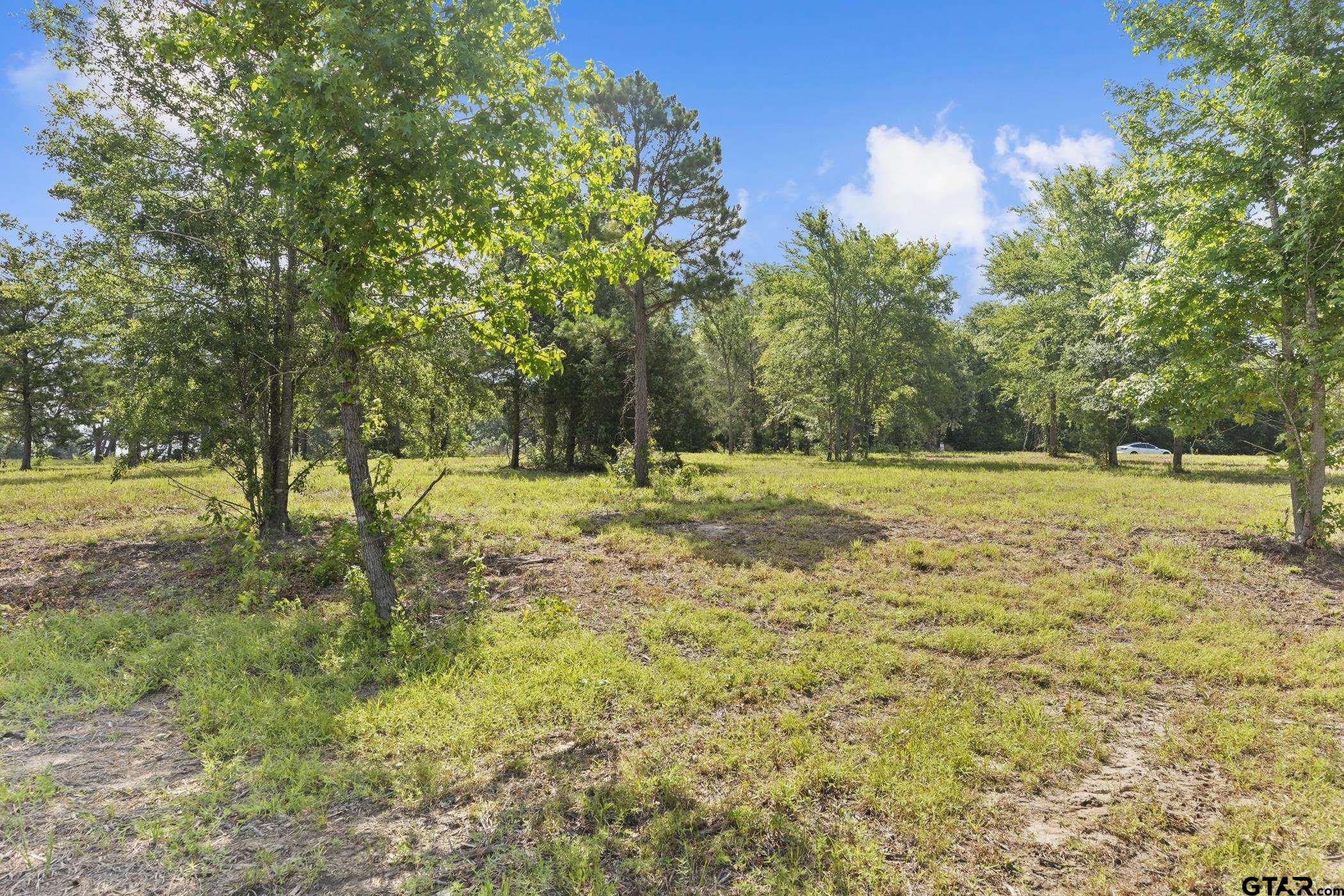 TBD County Road 4112 Lot 3