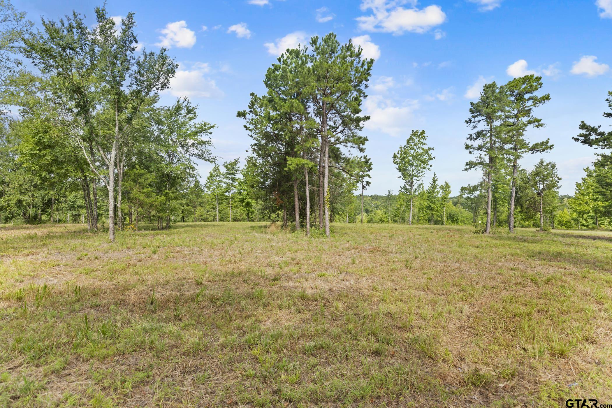 TBD County Road 4112 Lot 3