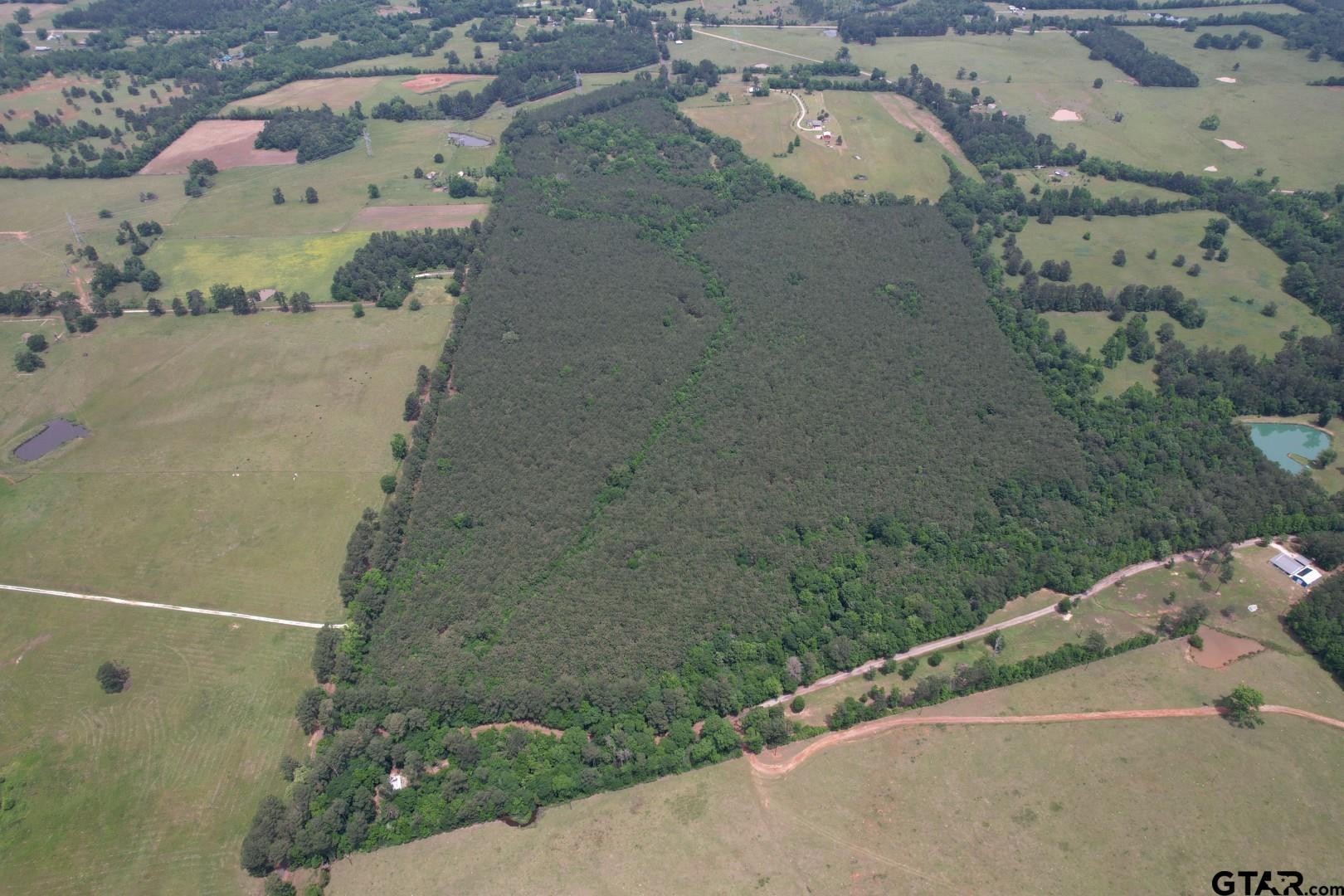 TBD County Road 3163