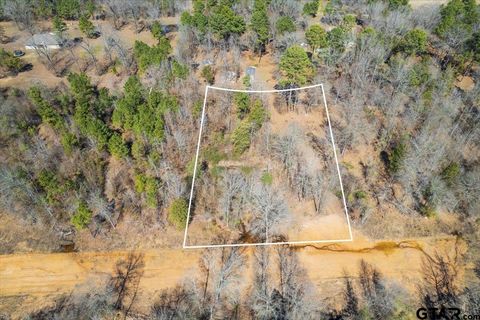 Lot 9 Piney Ln. Pittsburg TX 75686