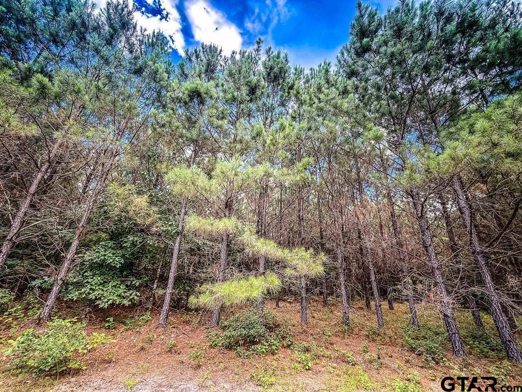 599 JONES FARM RD