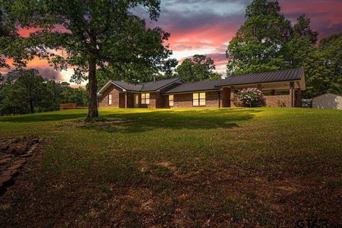 1346 W County Road 481 Henderson TX 75654