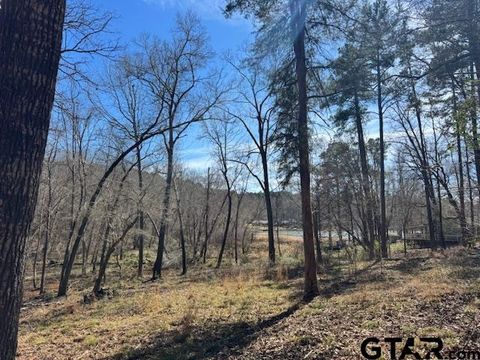 0 AN COUNTY ROAD 319 Frankston TX 75763