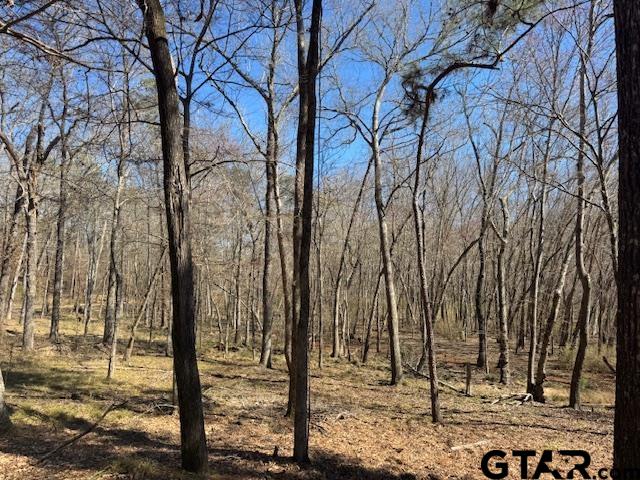 0 AN COUNTY ROAD 319