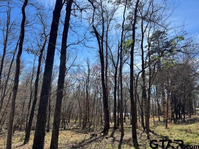 0 AN COUNTY ROAD 319