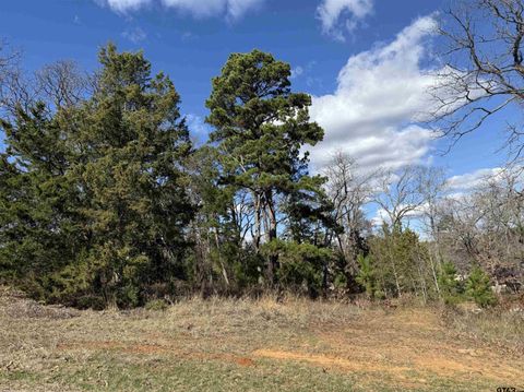 15899 Crazyhorse  Drive Lindale TX 75771