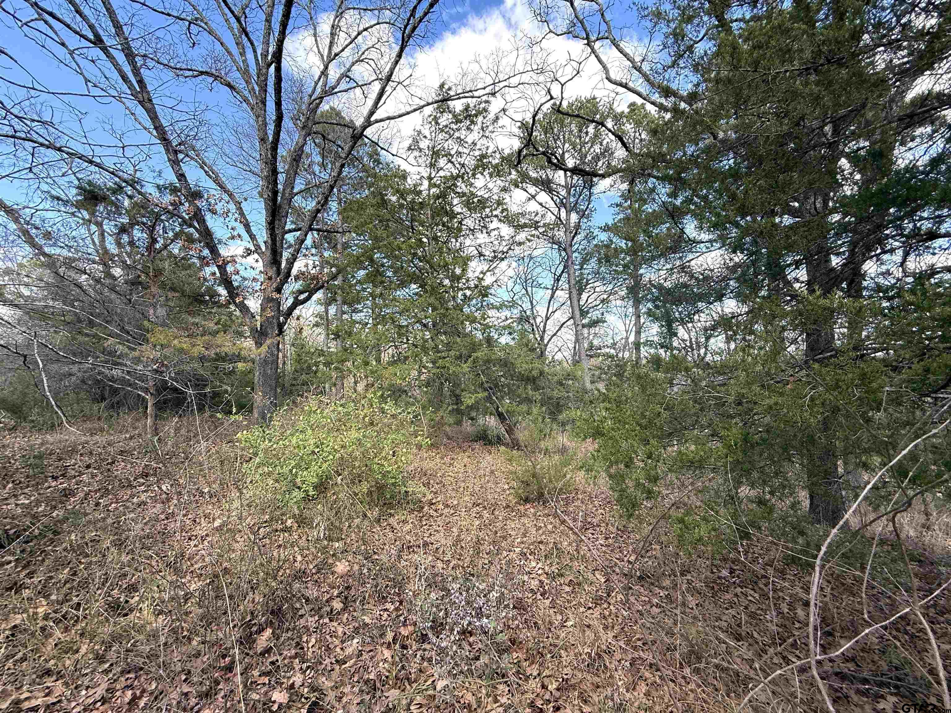 15899 Crazyhorse  Drive