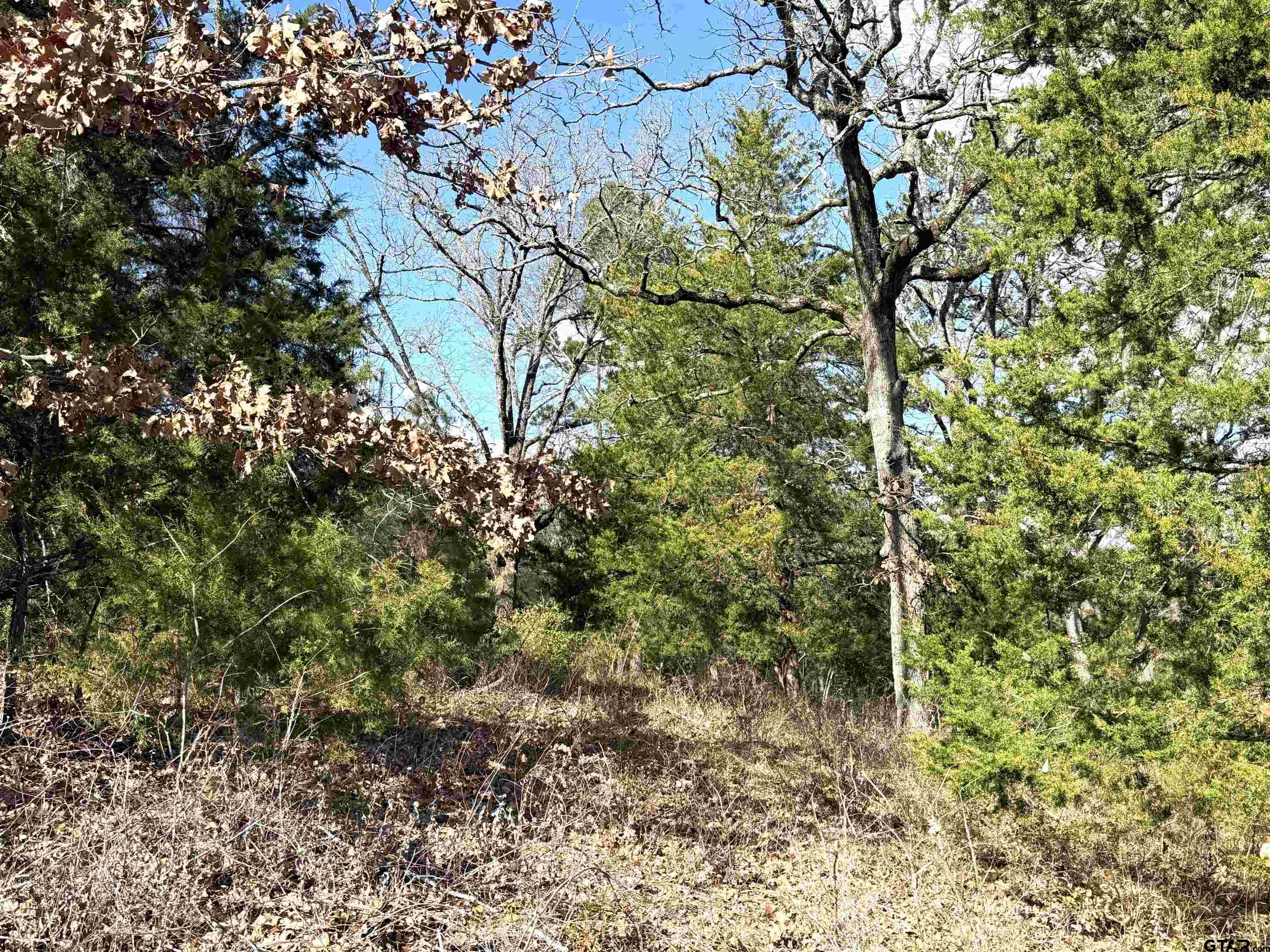 15899 Crazyhorse  Drive