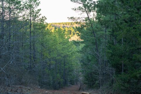 South Tract Highway 64 Ben Wheeler TX 75754