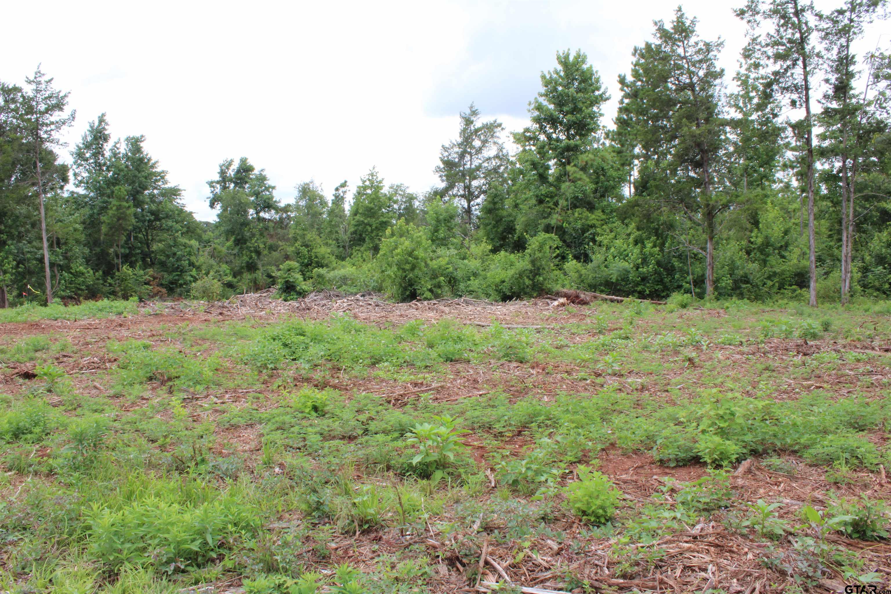 TBD - TRACT 2 CR 4118