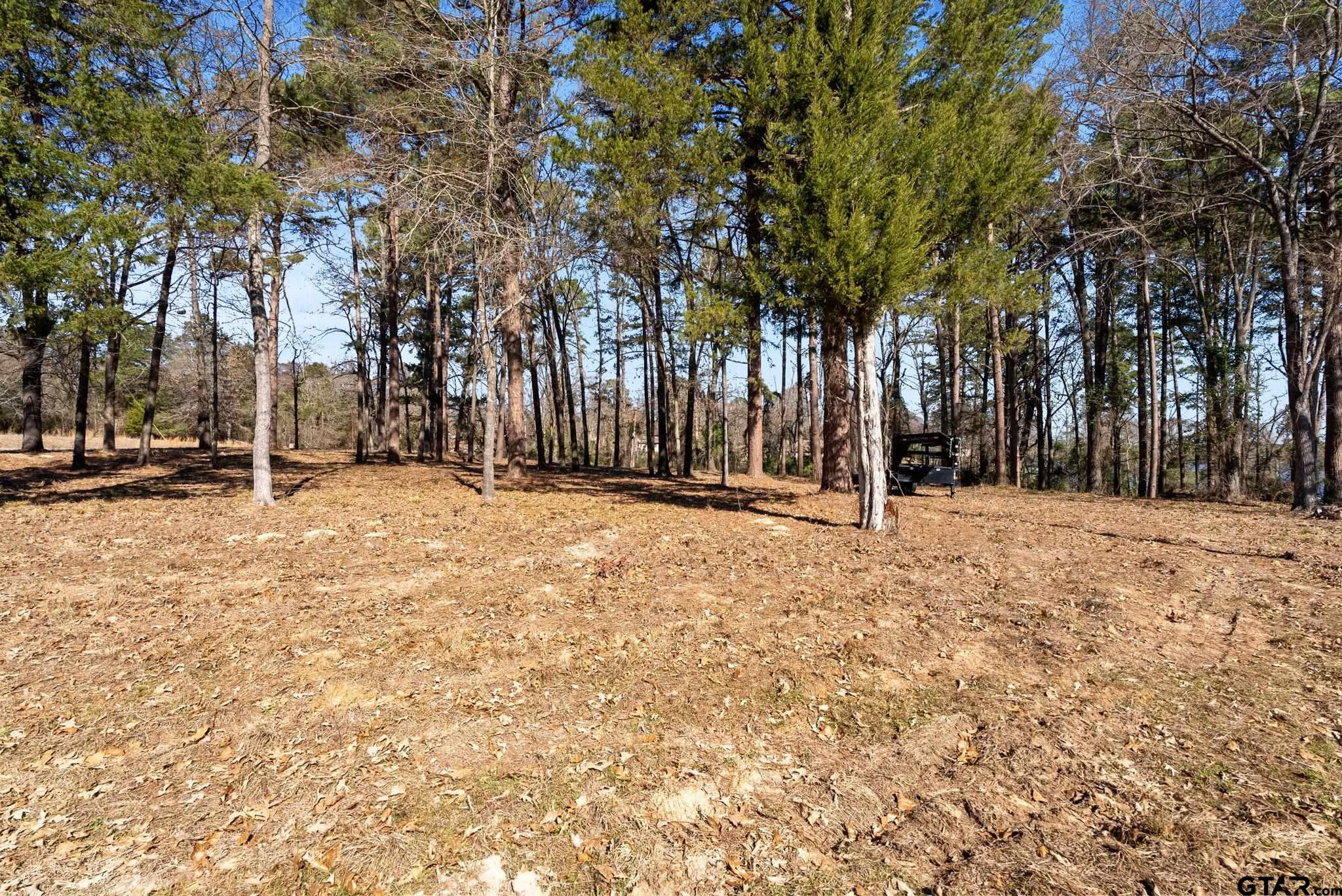 TBD Wilson Rd. (Lot 41)