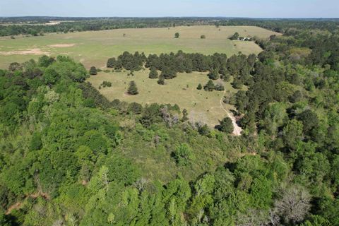 2954 CR 2170 Grapeland TX 75844