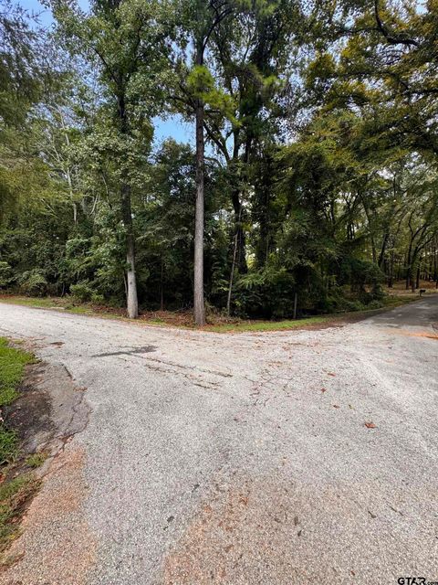 00 HIDEOUT CIR Flint TX 75762