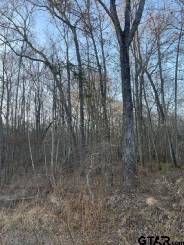 TBD State Highway 135