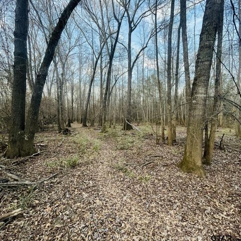 TBD State Highway 135 Troup TX 75789