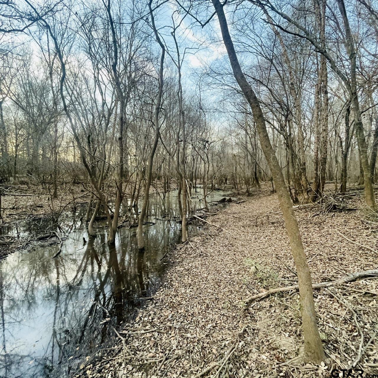 TBD State Highway 135