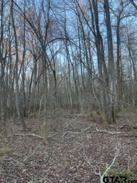 TBD State Highway 135 Troup TX 75789